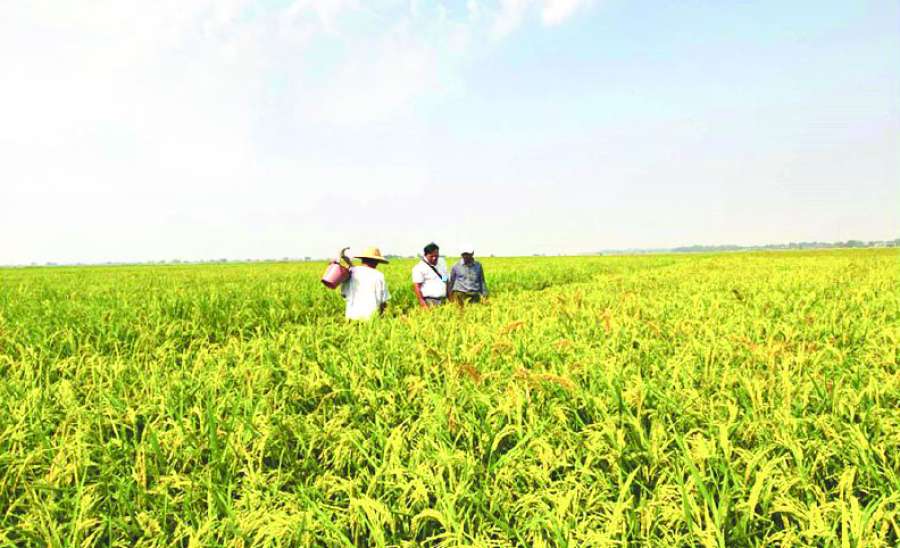 ဆောင်းပါး