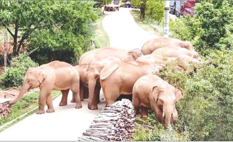 သဘာဝပတ်ဝန်းကျင်