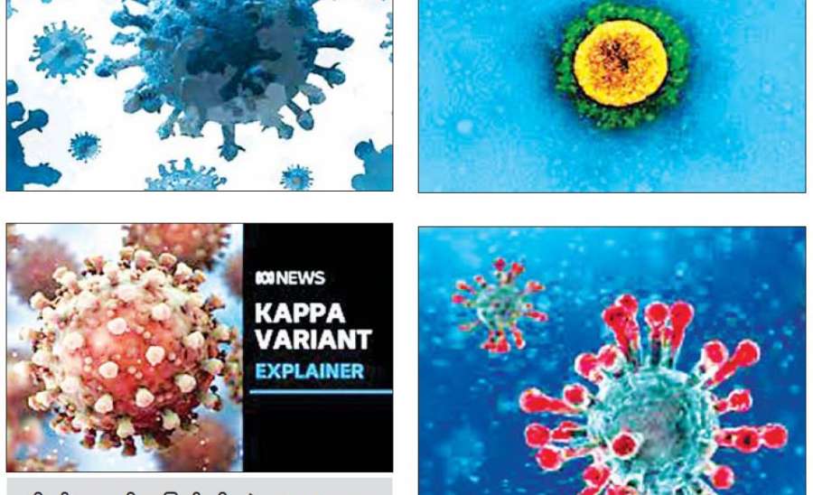 ကိုဗစ် - ၁၉ ရောဂါ ကာကွယ်ထိန်းချုပ်ရေးဆိုင်ရာ ဆောင်ရွက်ချက်များအကြောင်း သိကောင်းစရာ အစီအစဉ်