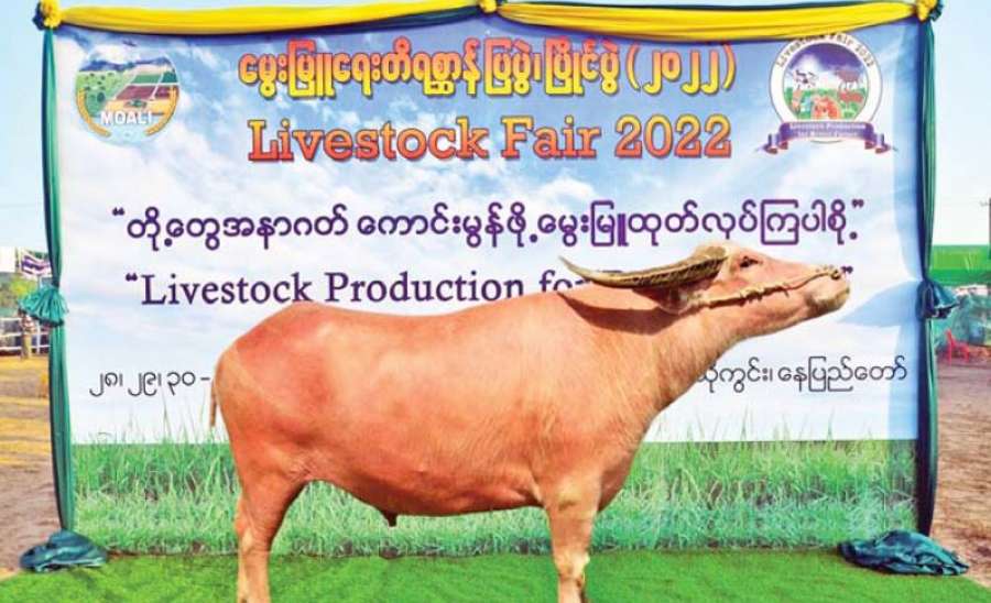 တို့အနာဂတ် ကောင်းမွန်ဖို့ မွေးမြူထုတ်လုပ်ကြပါစို့