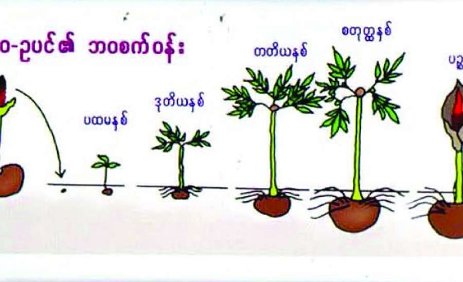 ဆောင်းပါး