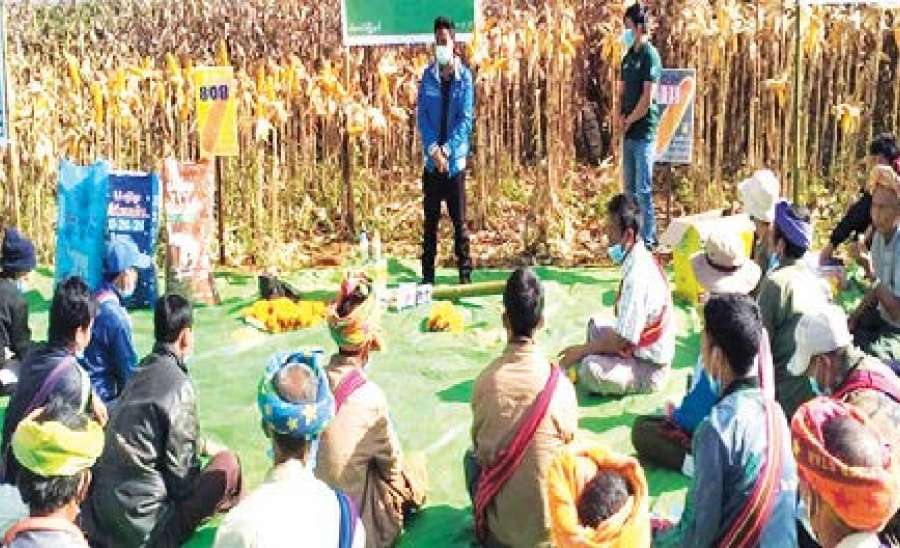 အပြည်ပြည်ဆိုင်ရာမူးယစ်ဆေးဝါးအလွဲသုံးမှုနှင့် တရားမဝင်ရောင်းဝယ်မှု တိုက်ဖျက်ရေးနေ့ ဂုဏ်ပြုဆောင်းပါး