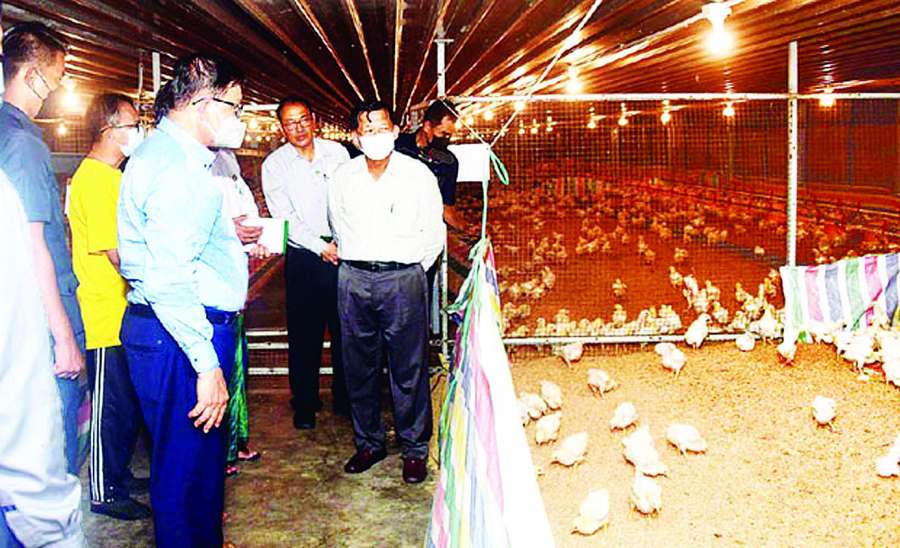 ညောင်နှစ်ပင်၏ အနာဂတ်