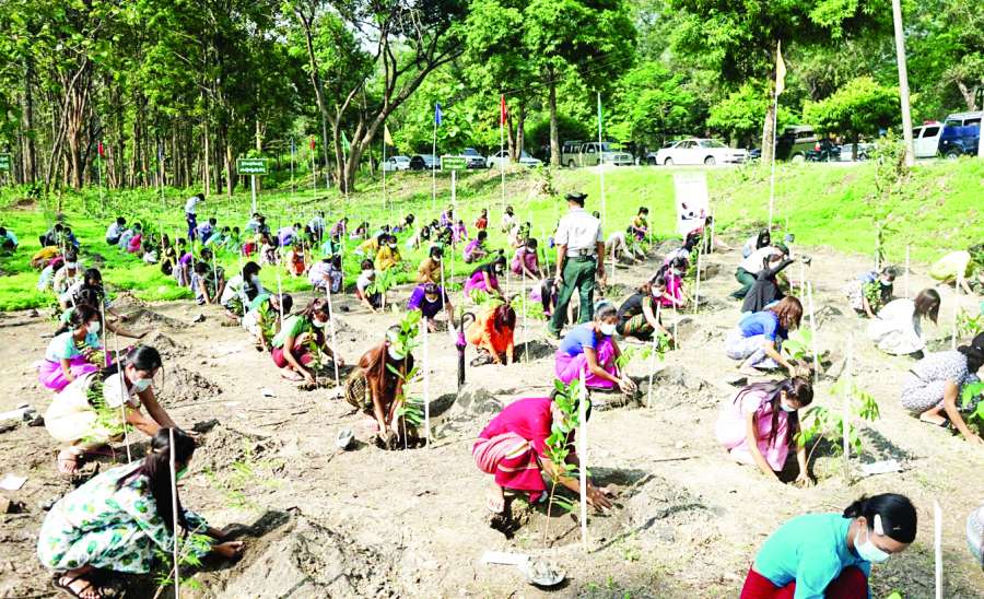 ပတ်ဝန်းကျင်လှပ မျှတရာသီဖြစ်စေဖို့ လူတိုင်းသစ်ပင်စိုက်ကြစို့