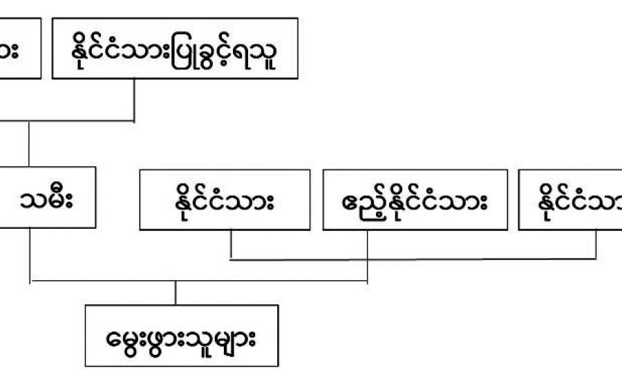 ရွေးကောက်တင်မြှောက်ခံပိုင်ခွင့်၊ နိုင်ငံသားဖြစ်ခြင်း၊ ပြည်ပလွှမ်းမိုးမှုနှင့် နိုင်ငံခြားအထောက်အပံ့များ