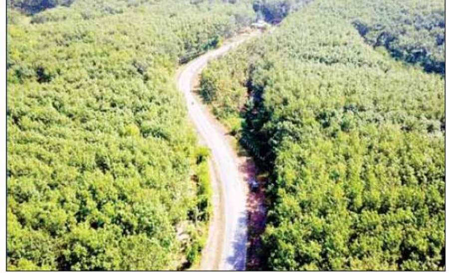 မွန်ပြည်နယ်အတွင်း နေ့ချင်းပြန်ဆက်သွယ်သွားလာနိုင်သည်အထိ လမ်းကွန်ရက်လွှမ်းခြုံနိုင်ခဲ့ပြီ