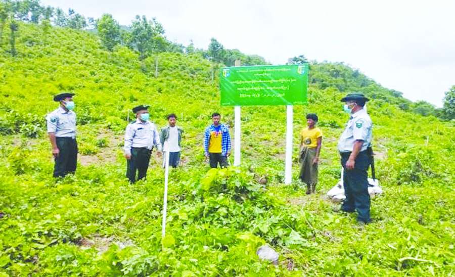 စားနပ်ရိက္ခာဖူလုံဖို့၊ သီးနှံသစ်တောရောနှောစိုက်ပျိုးစို့