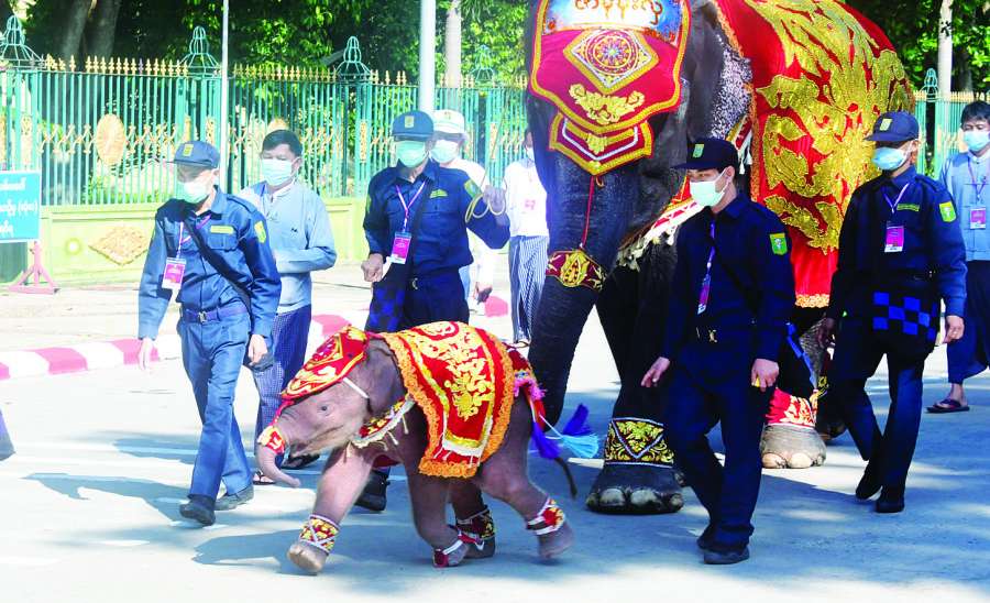 ဆင်ဖြူရတနာဆိုက်ရောက်လာ ဘေးရန်ကင်းရှင်းသာယာခြင်းနှင့် ကောင်းခြင်းစုံစွာ ပြည်မြန်မာ