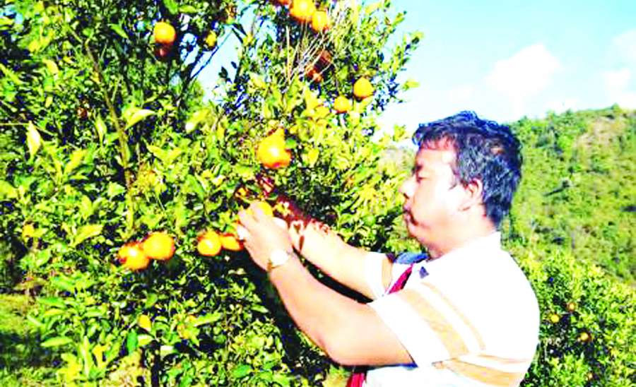 ပြောင်းလဲရန်လိုအပ်နေသော အသက်မွေးဝမ်းကျောင်းလုပ်ငန်း