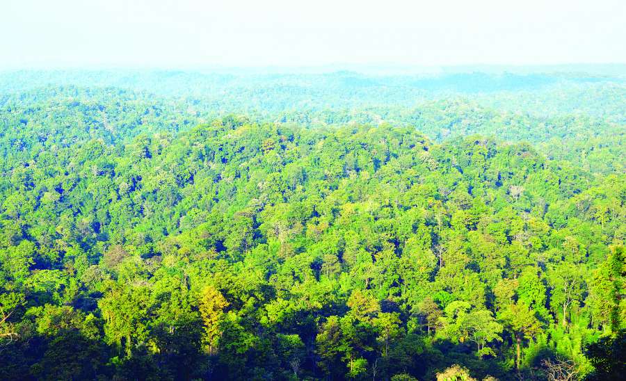 သဘာဝဘေးအန္တရာယ်များ တားဆီးကာကွယ်ရေးနှင့် သဘာဝကိုအခြေခံသော ဖြေရှင်းခြင်းနည်းလမ်းများ (Nature-based Solutions-Nbs) ၏ အခန်းကဏ္ဍ