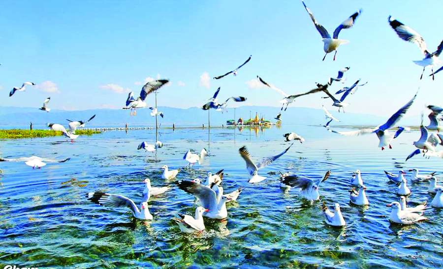 ဆောင်းပါး