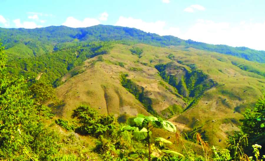 ဆောင်းပါး