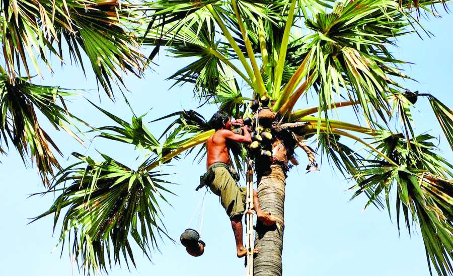 ဆောင်းပါး