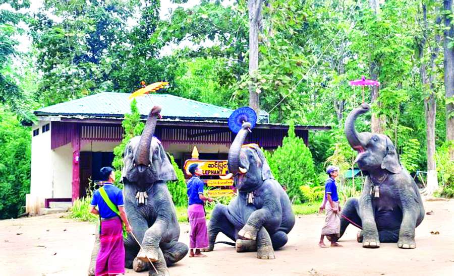 ဆောင်းပါး