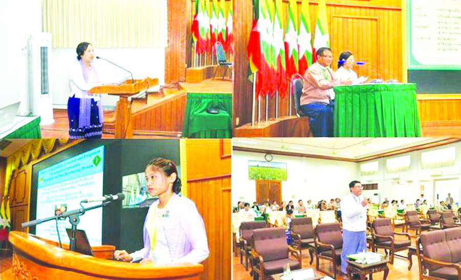 တောင်သူလယ်သမားများအတွက် လူငယ်စွန့်ဦးပညာရှင်များ