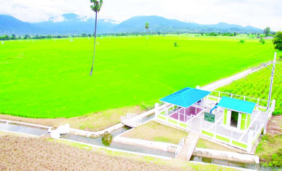ဆောင်းပါး