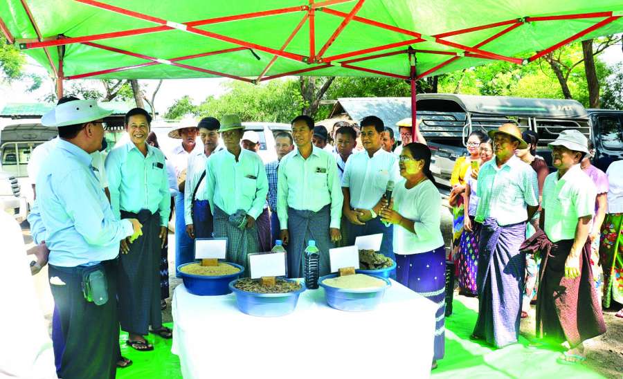 ဆောင်းပါး