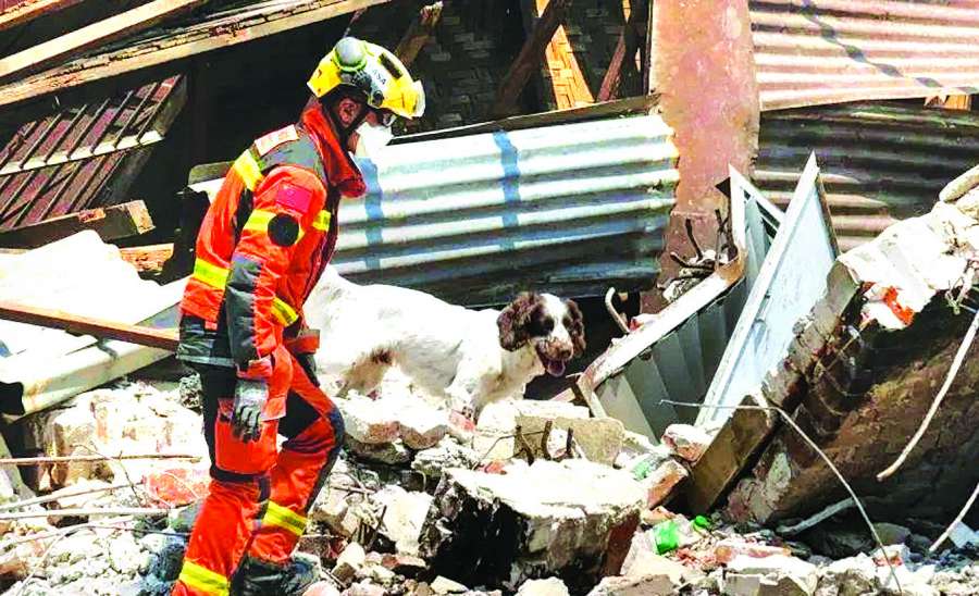 ဆောင်းပါး