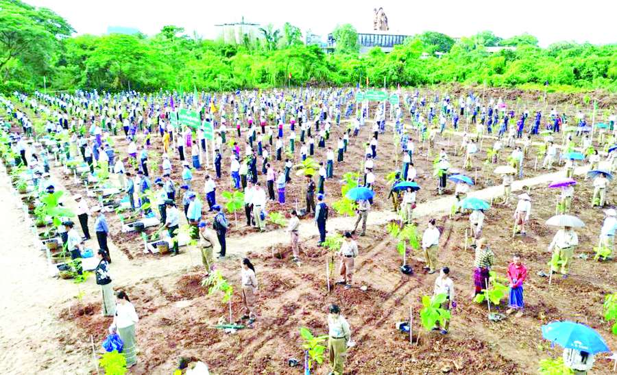 မြေဆီစိုခိုက် သစ်ပင်စိုက်ကြပါစို့