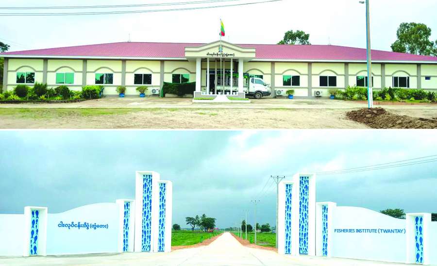 ငါးလုပ်ငန်းသိပ္ပံ(တွံတေး)ကျောင်းတော်ကြီးက ကြိုဆိုပါ၏