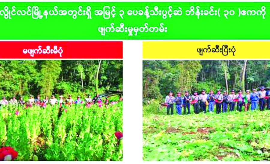 ကိန်းဂဏန်းများနောက်ကွယ်က မျက်ကွယ်ပြုခံရတဲ့ အမှန်တရား