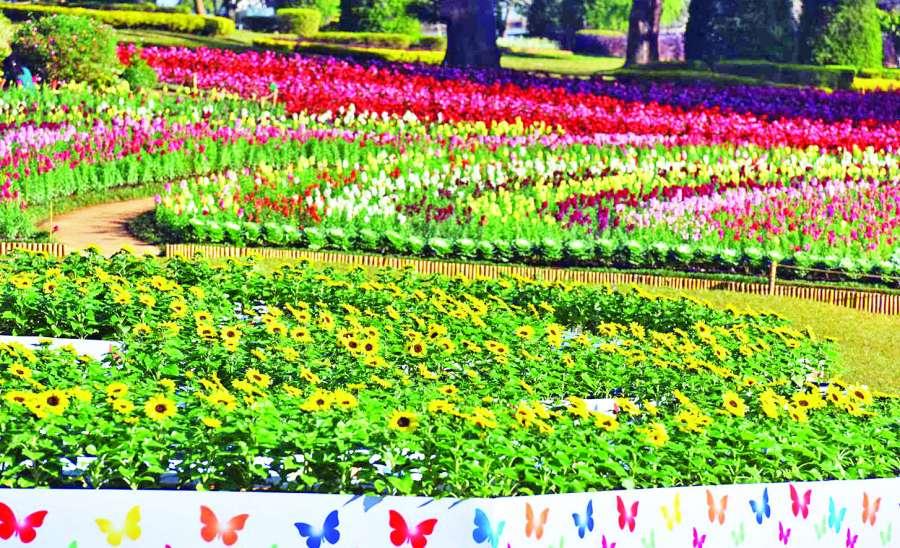 ရောင်စုံပန်းတွေ ဖူးပွင့်တော့မည့် ပြည်ထောင်စုသွေးချင်းတို့မြေ တို့မျှော်နေ …