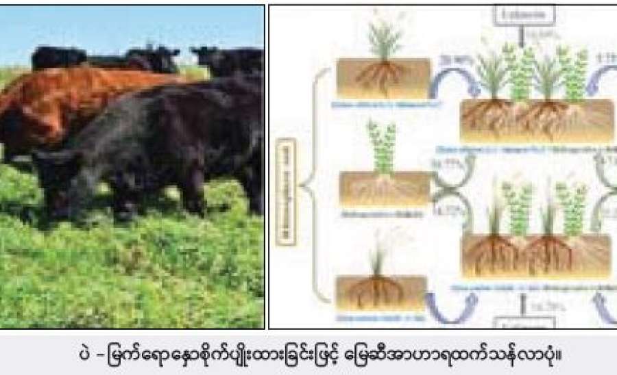 ဆောင်းပါး