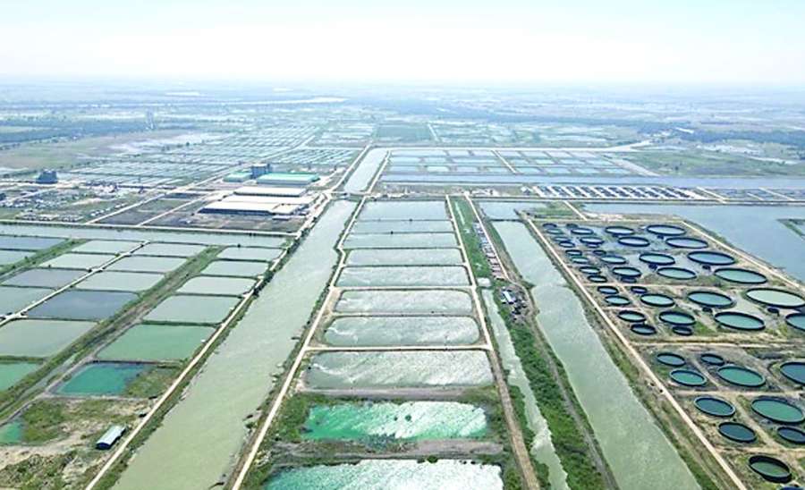 ပို့ကုန်နှစ်ဆတိုးမြှင့်ဖို့ တန်ဖိုးမြင့်ရေထွက်ကုန်များ တိုးထုတ်စို့