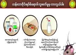 ဆောင်းပါး