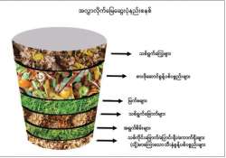 စိုက်ပျိုးရေး