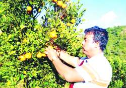 ပြောင်းလဲရန်လိုအပ်နေသော အသက်မွေးဝမ်းကျောင်းလုပ်ငန်း