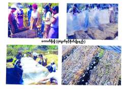 ဆောင်းပါး