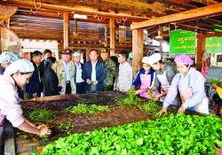 ဆောင်းပါး