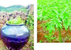 ဆောင်းပါး