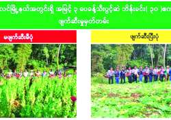 ကိန်းဂဏန်းများနောက်ကွယ်က မျက်ကွယ်ပြုခံရတဲ့ အမှန်တရား