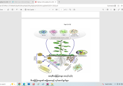 ဆောင်းပါး