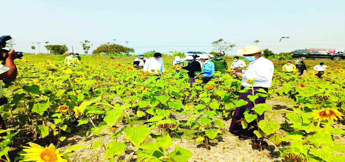 ဆောင်းပါး