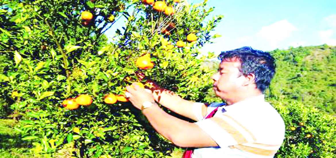 ပြောင်းလဲရန်လိုအပ်နေသော အသက်မွေးဝမ်းကျောင်းလုပ်ငန်း