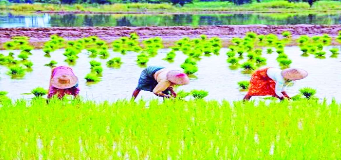 ဆောင်းပါး