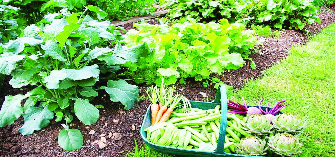 ဆောင်းပါး