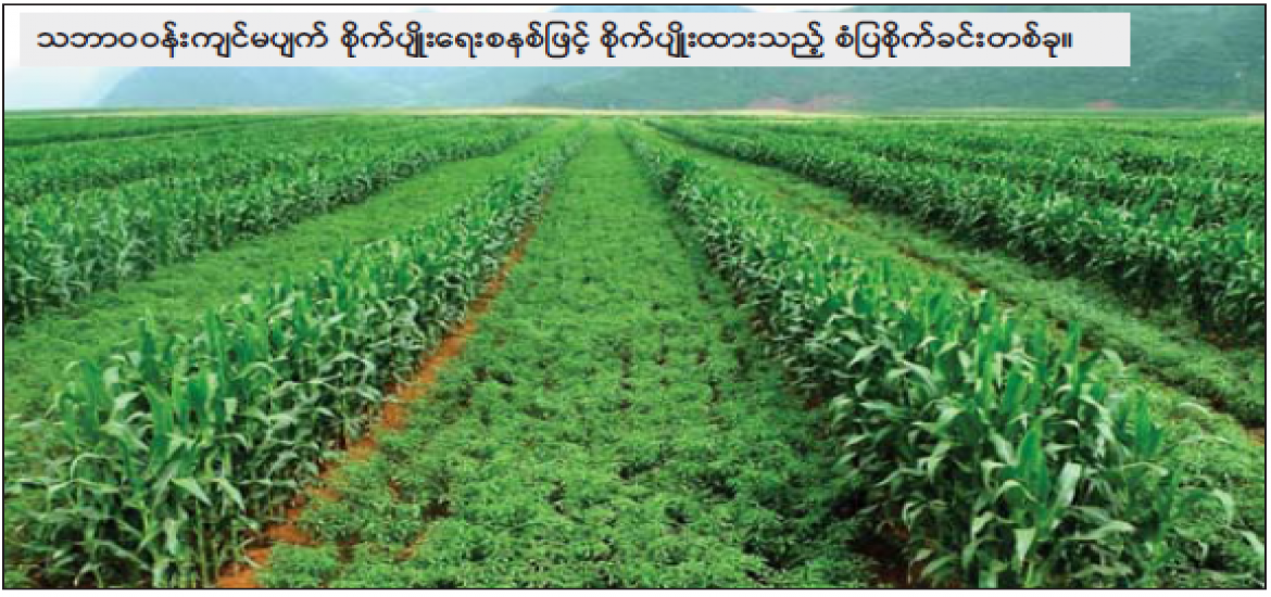 ဆောင်းပါး