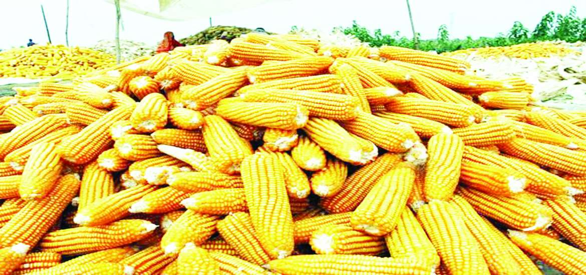 ဆောင်းပါး