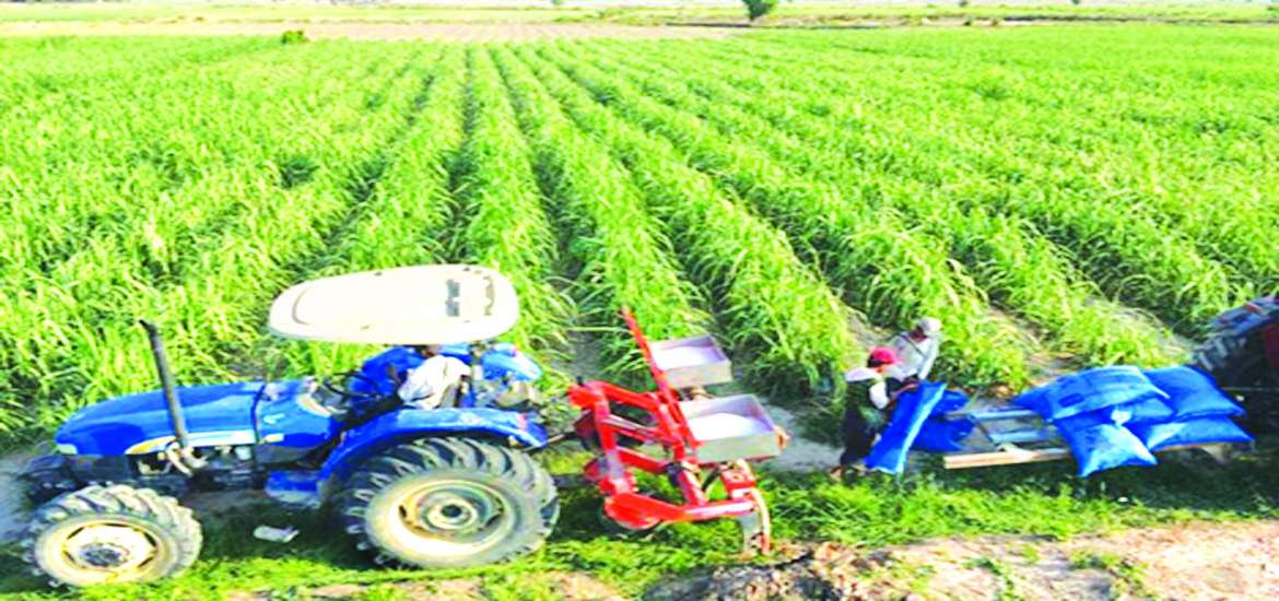 ဆောင်းပါး