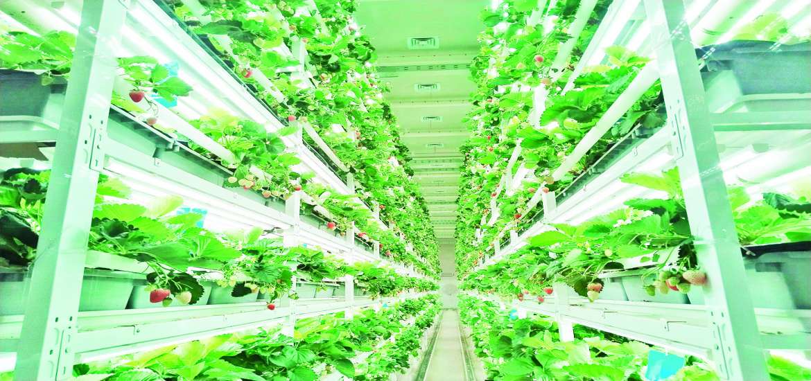 ဆောင်းပါး