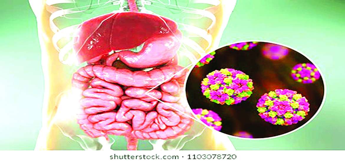 ဆောင်းပါး