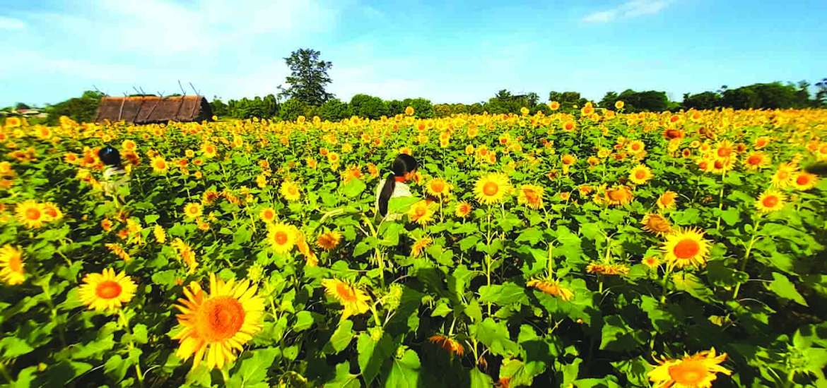 အနာဂတ်စားရေရိက္ခာဖူလုံဖို့ လက်တွဲဆောင်ရွက်ကြပါစို့