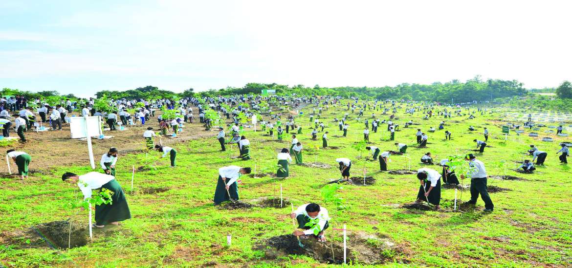 ဆောင်းပါး
